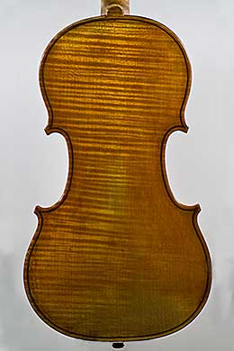 violin back