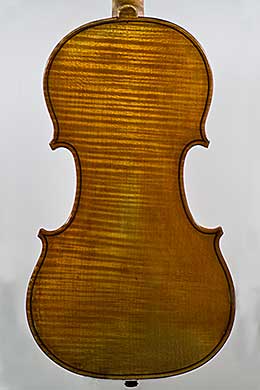 violin back